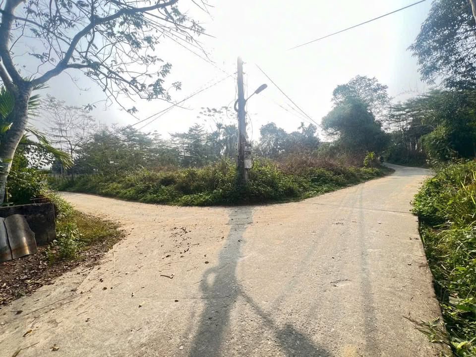 Đất nền Xóm 1, Trung Môn, Yên Sơn 250m² giá 1.5 tỷ - Đầu tư sinh lời ngay!