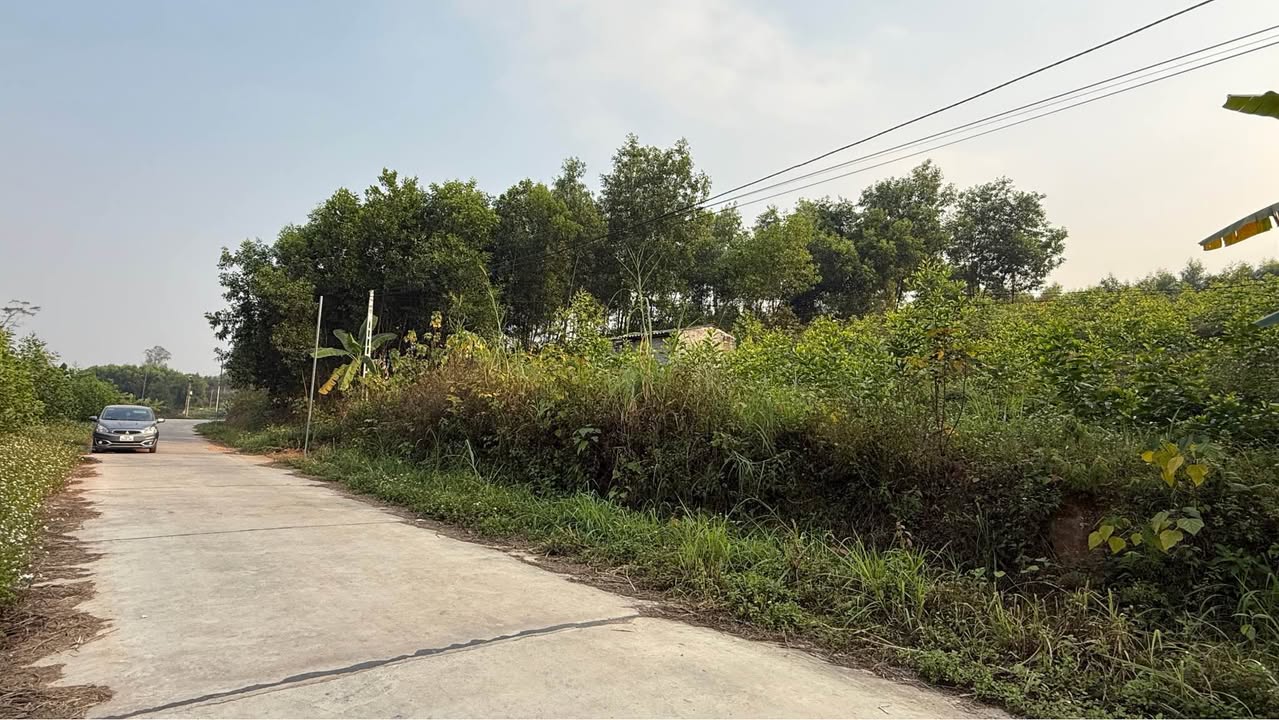 Đất nền Yên Phụ Bắc Ninh 900m² giá chỉ 100 triệu - Cơ hội đầu tư sinh lời!