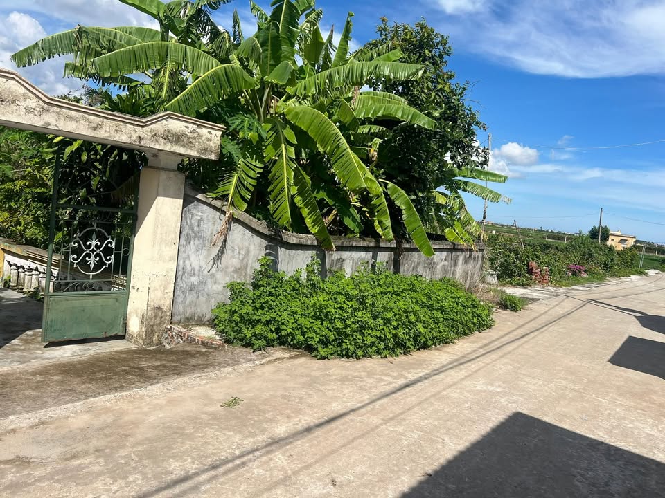 Đất lô góc Thôn Trung An Thái 122m² giá hơn 1 tỷ - Cơ hội đầu tư hấp dẫn!