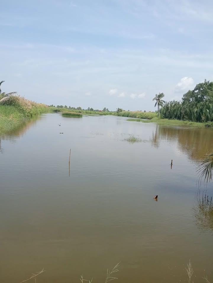 Đất nền mặt tiền 52m xã Nam Thái An Biên 1,5 tỷ - Cơ hội đầu tư sinh lời!