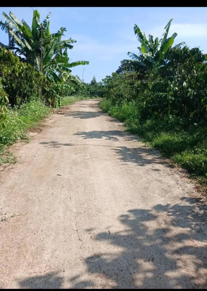 Đất nền Lộc Ngãi 1200m² giá chỉ 760 triệu - Cơ hội đầu tư tuyệt vời!