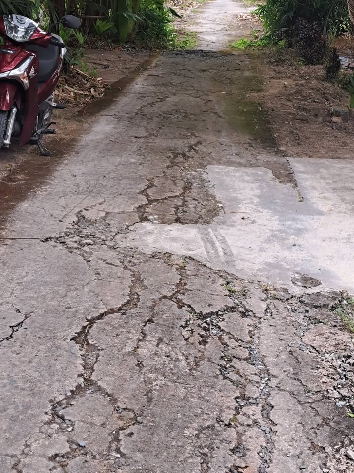 Đất nền 14.000m² tại Xã Phương Bình, Hậu Giang - Giá chỉ 130 triệu