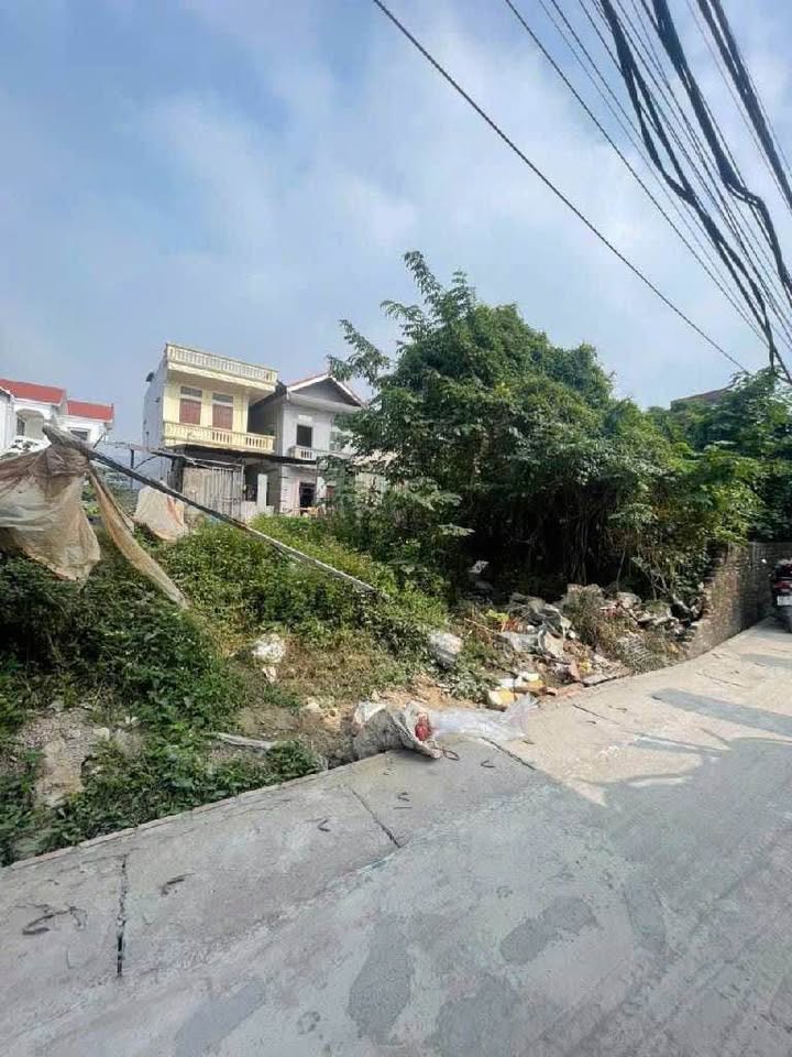 Lô đất 40m² tại xã Đại Áng, Thanh Trì - Nở hậu, ô tô đỗ sát - Giá chỉ 4 tỷ!