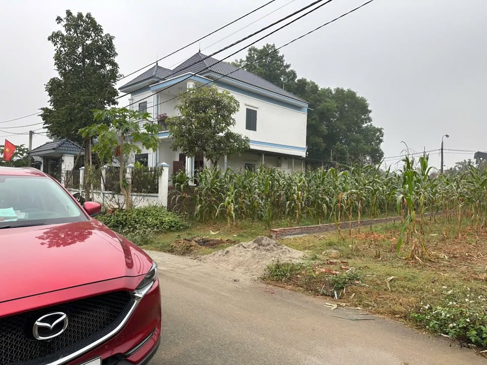 Đất nền phường Phong Châu, Thị xã Phú Thọ 100m² - Giá chỉ hơn 1 tỷ!