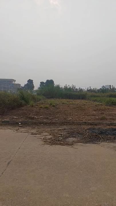 Đất nền CL24 Đường 35, TX Phú Thọ 125m² giá chỉ 3 tỷ - Cơ hội đầu tư tuyệt vời!