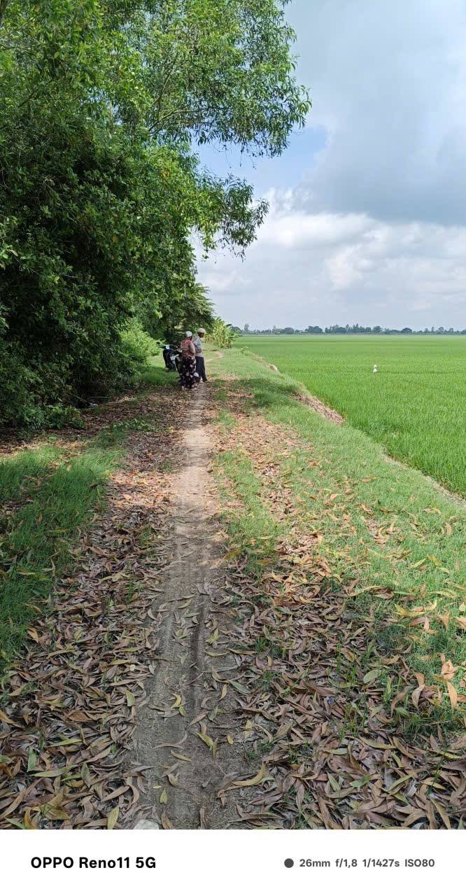 Đất Farm 60 công tại Bình Thành, Thoại Sơn, An Giang - Giá tốt thương lượng