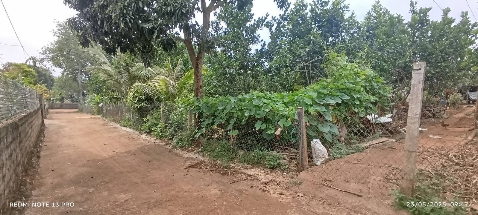 Đất nền Xóm Phú Nguyên, Nghĩa Thọ 957m² - Đường bê tông rộng, giá chỉ 600 triệu!