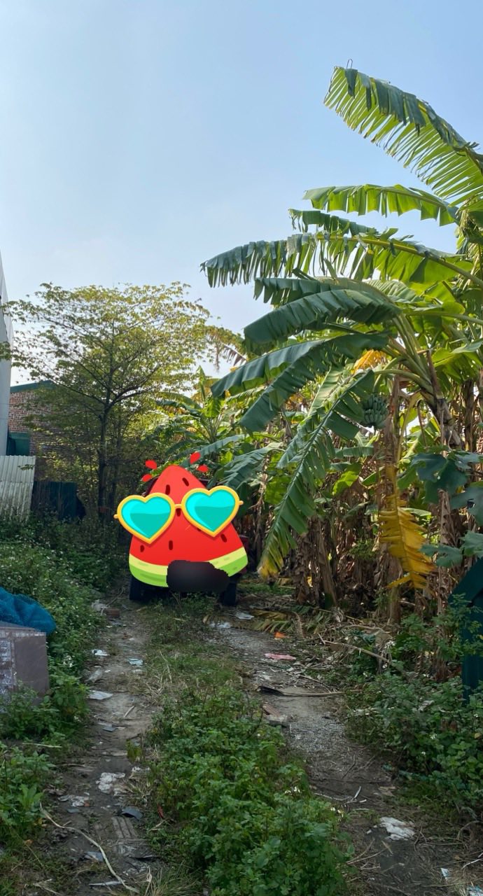 Đất nền đẹp Kẻ Sặt - Hải Phòng 100m² giá thỏa thuận - Tiềm năng đầu tư lớn!