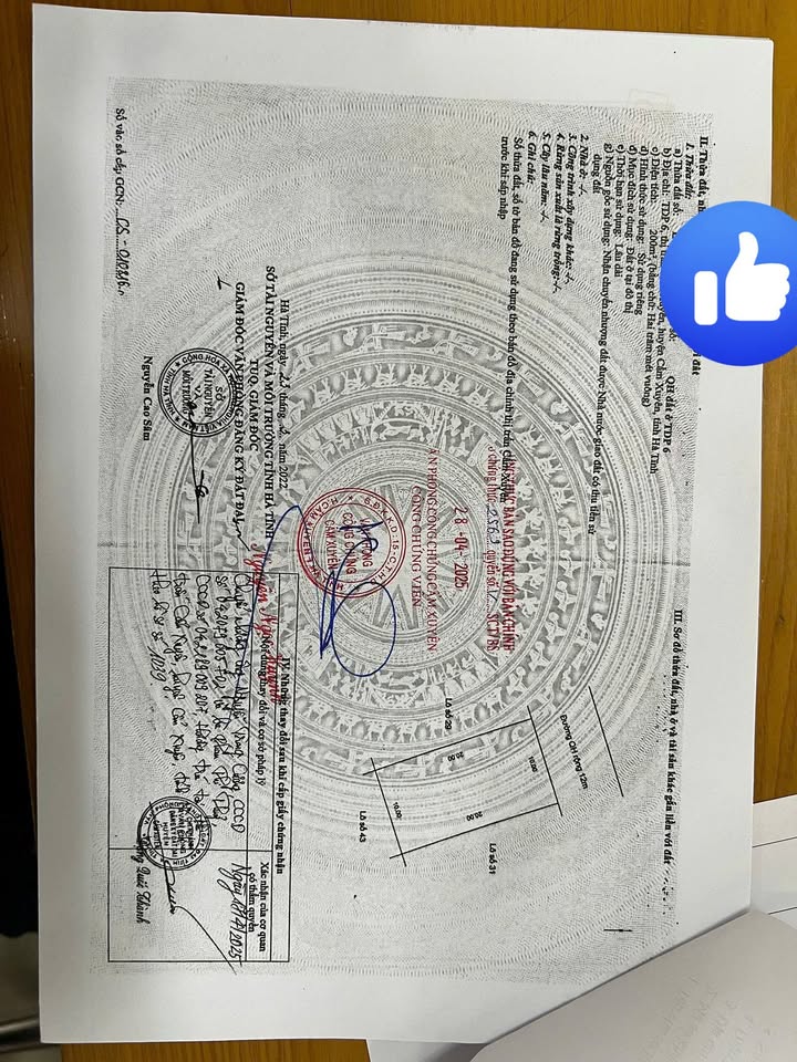 Đất nền 200m² tại Quốc lộ 8C, xã Cẩm Hà - Cơ hội đầu tư tuyệt vời!