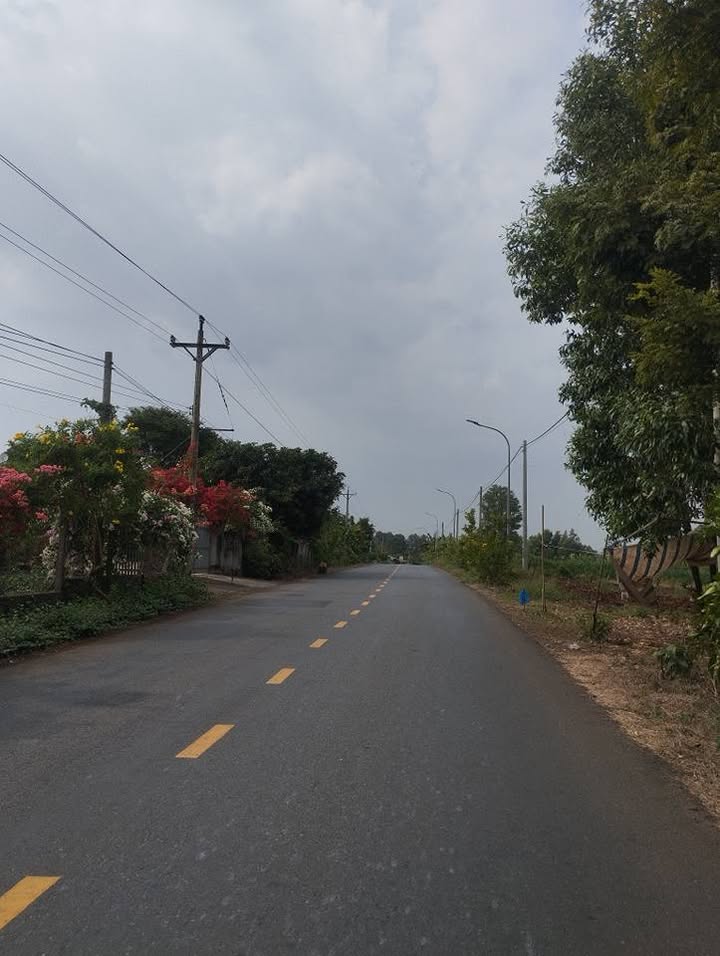 Đất nền 1 sào Đường Chính Đá Bạc, Châu Đức, 1300m² giá 2.6 tỷ - Sổ hồng riêng, đầu tư sinh lời!