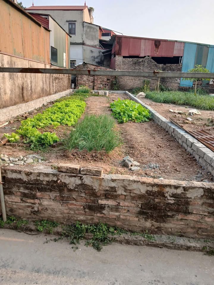 Bán đất xóm Bến - Đình Tổ - Thượng Phúc 89m² giá 56 tỷ - Vị trí đắc địa cho đầu tư!