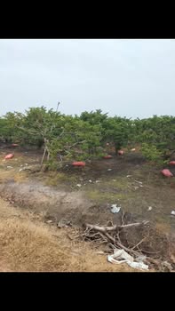 Đất thổ cư 1000m² tại DMC, Tây Ninh - Giá chỉ 40 triệu, view núi tuyệt đẹp!