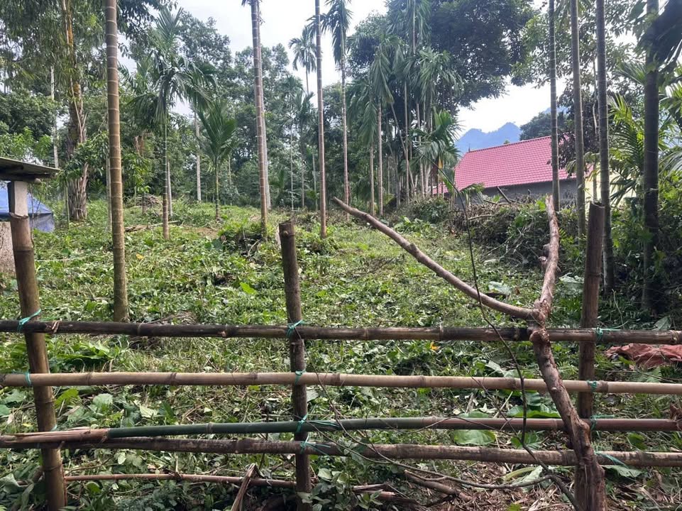 Đất nền Quyết Thắng Lạc Sơn 506m² giá chỉ 300 triệu - Cơ hội đầu tư tuyệt vời!