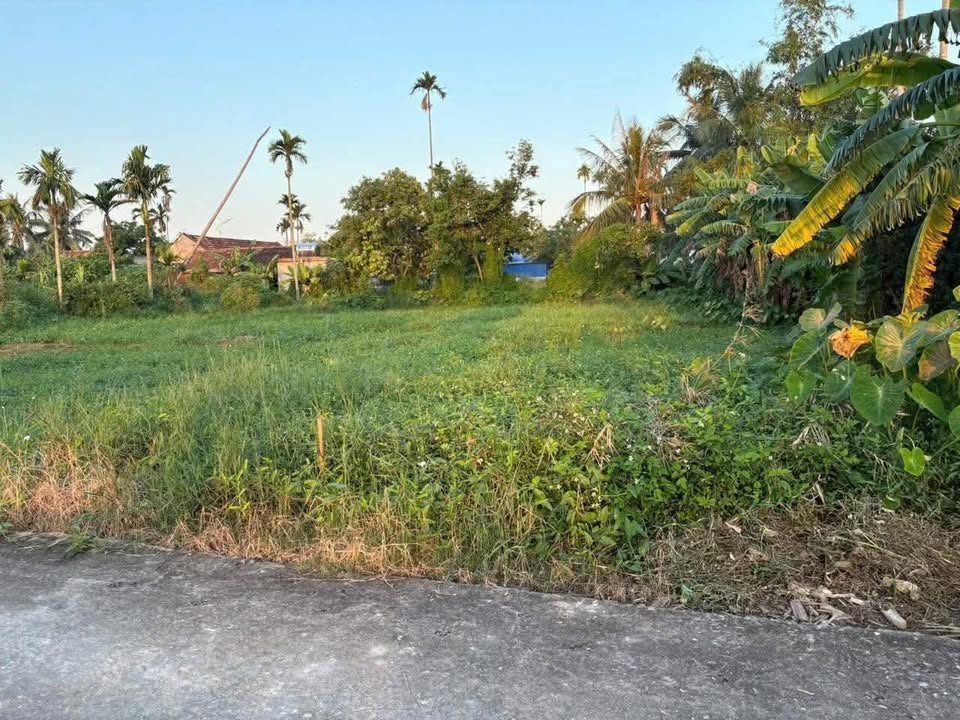 Đất nền Xuân Trại, Đông Hưng, Tiên Lãng 150m² giá chỉ từ 2 triệu - Cơ hội đầu tư hấp dẫn!