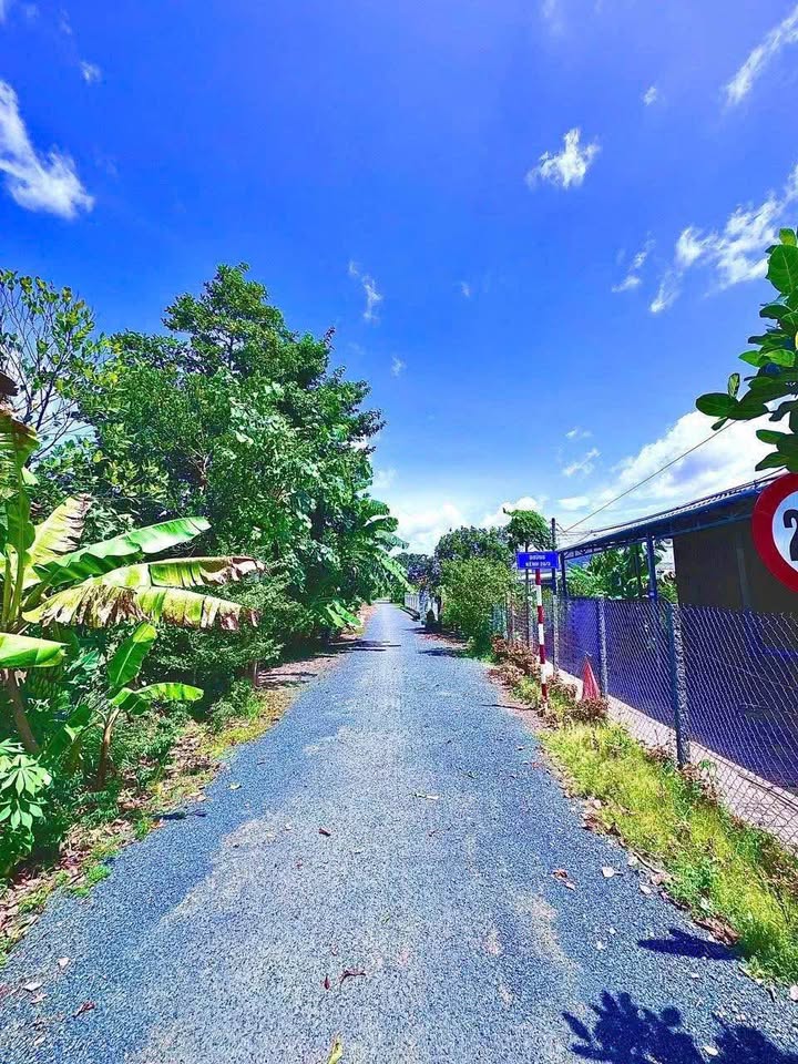 Đất nền 26/3 Tân Phú Trung 132m² giá 220 triệu - Đường nhựa ô tô, đầu tư sinh lời!