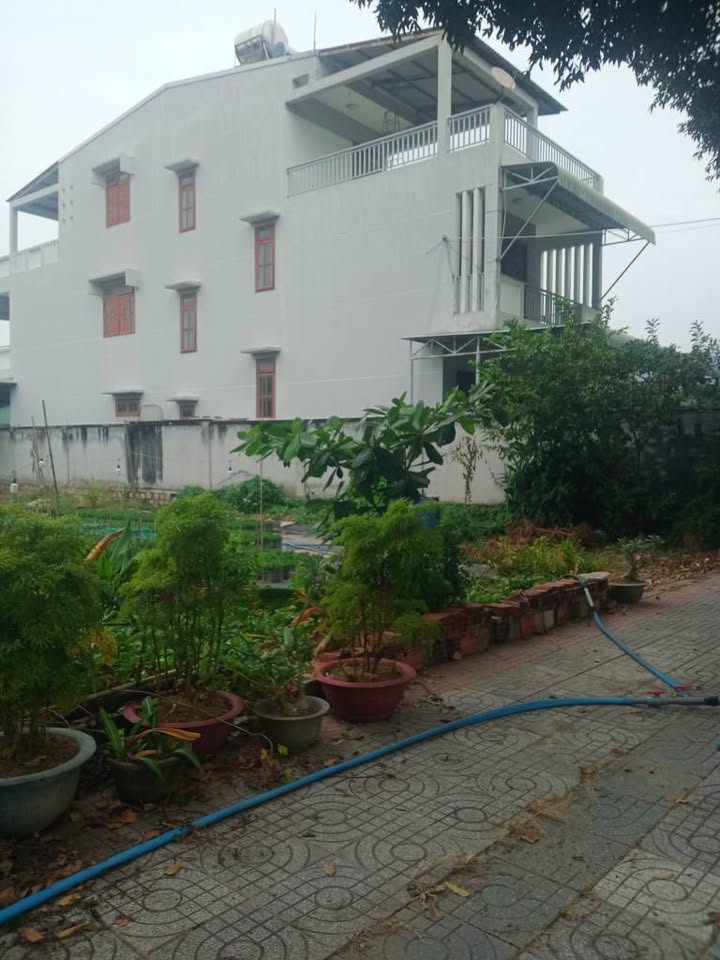 Đất nền Kim Dinh, Bà Rịa 5325m² giá 8 tỷ - Diện tích lớn, cơ hội đầu tư hấp dẫn!