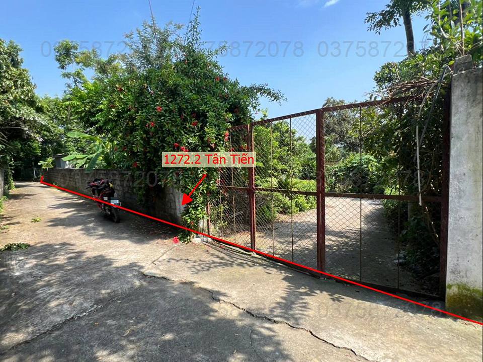 Đất nền 1.272,2m² tại Nam Phương Tiến, Chương Mỹ - Cơ hội đầu tư sinh lời!