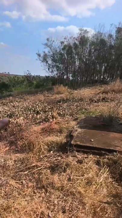 Đất nền 1.9ha xã Long Hưng, huyện Phú Riềng, giá 2.7 tỷ - Cơ hội đầu tư hấp dẫn!