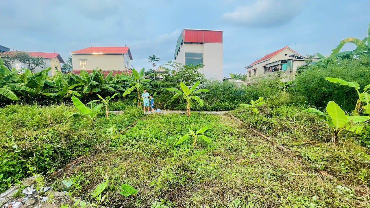 Đất thổ cư thôn 2 Vạn Phúc, Thanh Trì 48.9m² giá 2.899 tỷ - Cơ hội đầu tư tuyệt vời!