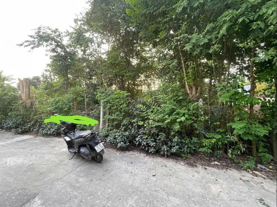 Đất thổ cư Phường Ninh Sơn Tây Ninh 150m² giá 420 triệu - Đầu tư sinh lời ngay!