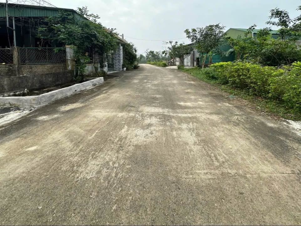 Đất nền thôn Ngụ Quế, Cẩm Vịnh 239.8m² giá 1 tỷ - Mặt tiền 2 hướng đẹp!