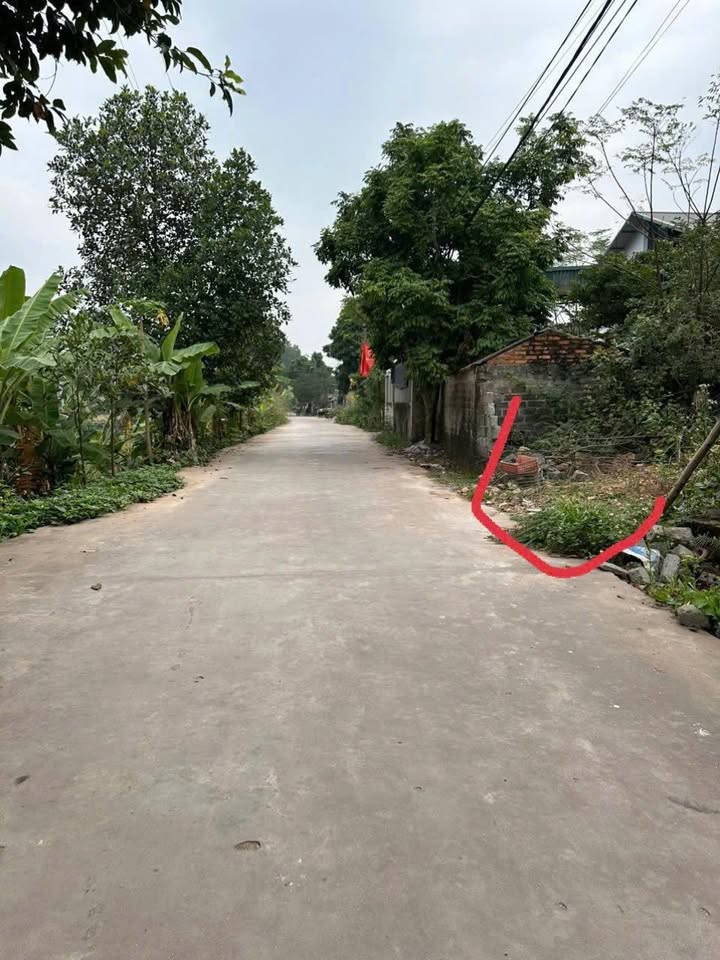 Đất nền TDP Tiền Phong, Bắc Giang 117m² giá chỉ 2.x tỷ - Đầu tư sinh lời ngay!