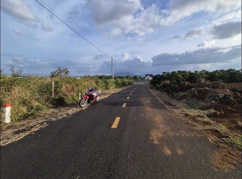 Đất nền mặt tiền Nguyễn Trãi, Phường 2, Bảo Lộc 228m² - Giá chỉ 3.2 tỷ!