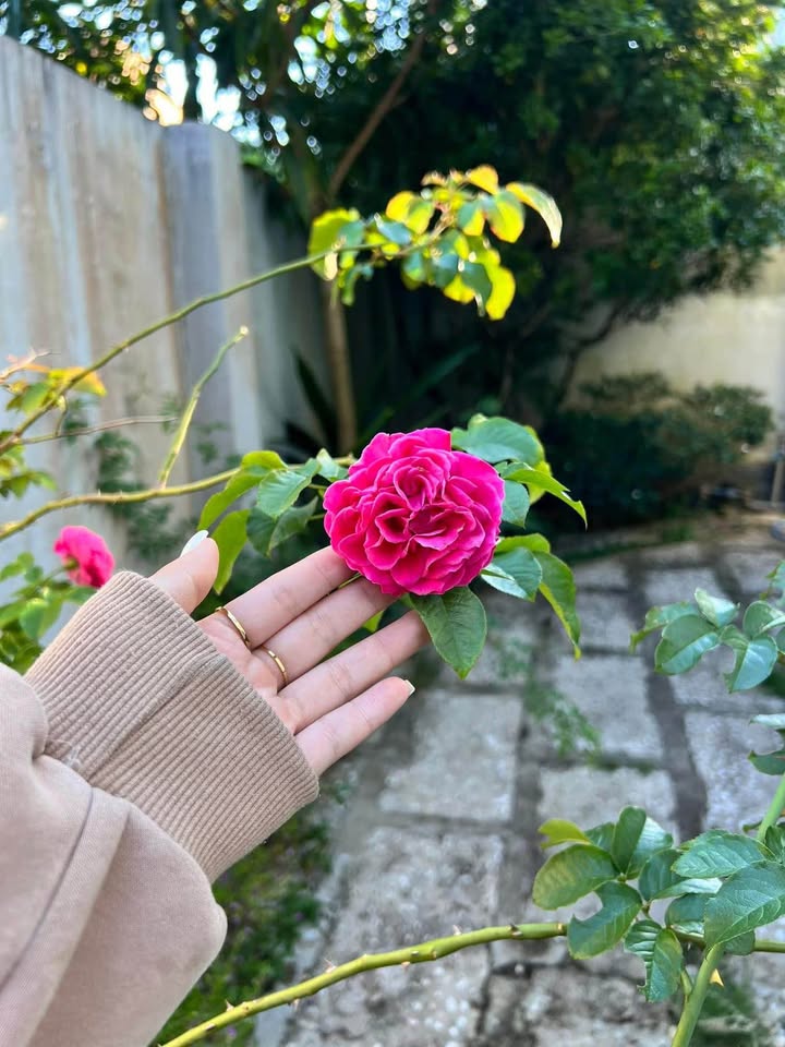 Bán gấp FrontHouse mặt tiền Quốc lộ 55, 260m² chỉ 1.75 tỷ - Khu vực buôn bán sầm uất!