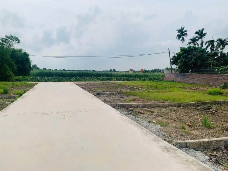 Đất nền TDP Cữ, Lê Thiện 63.7m² giá chỉ 7xx triệu - Vị trí đẹp, thuận tiện kinh doanh!