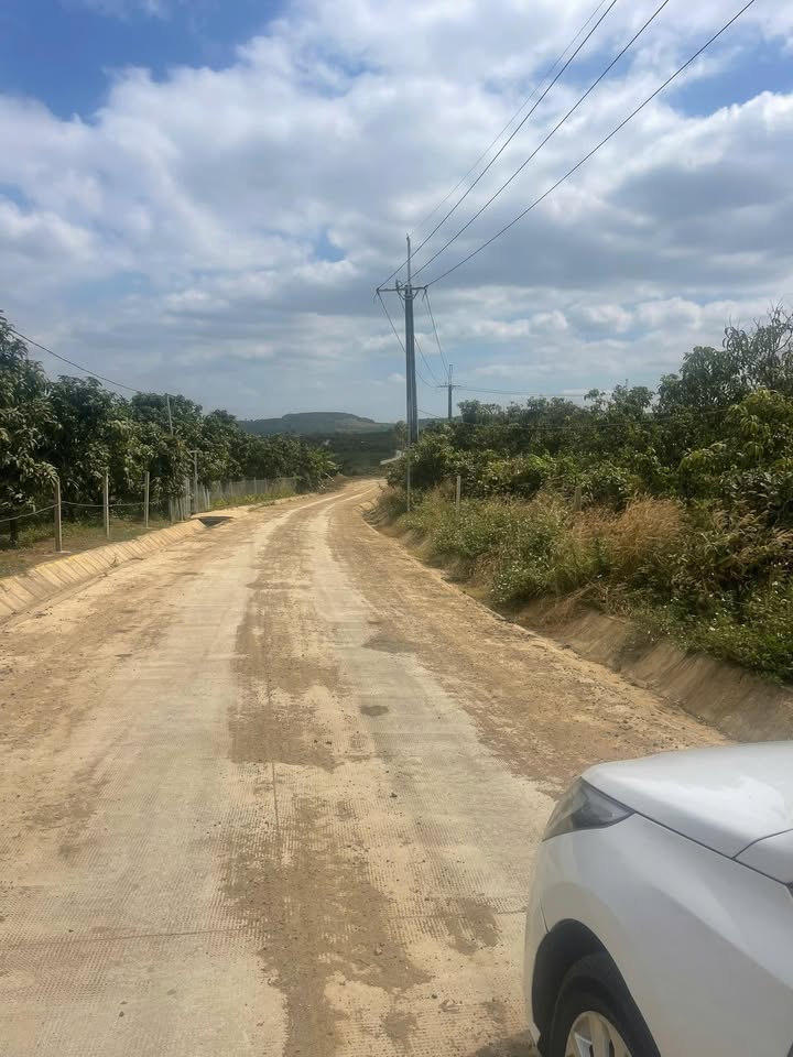 Đất thổ cư 900m² tại xã Lạc Lâm, giá chỉ 839 triệu - Cơ hội đầu tư tuyệt vời!