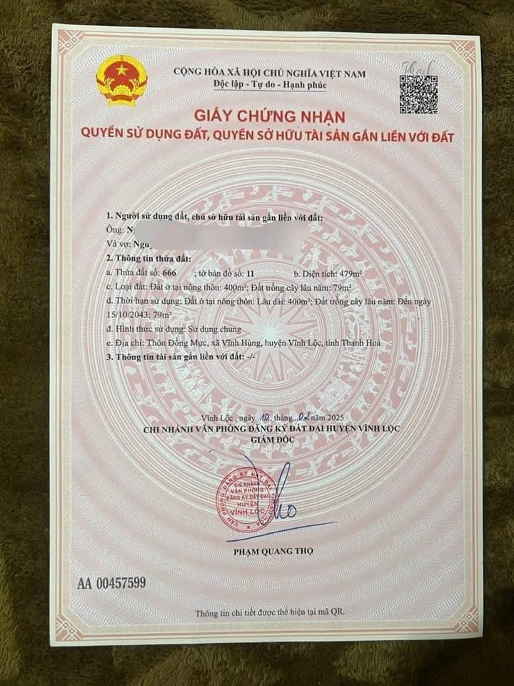 Đất 2 mặt tiền Đồng Mực, Vĩnh Hùng, 479m² giá chỉ từ 400 triệu - Cần bán gấp!