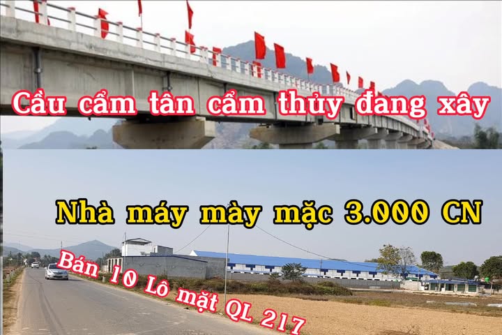 Đất nền Cẩm Tân, Cẩm Thủy 4,000m² - Vị trí đắc địa kinh doanh