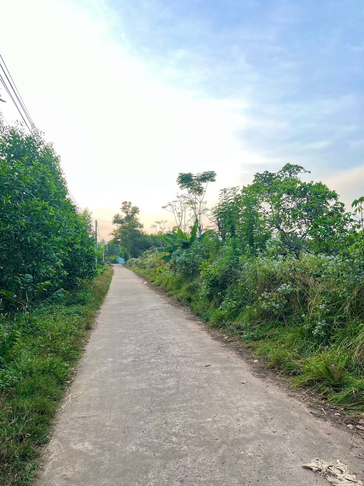 Đất nền Xuân Hiệp, Xuân Lộc 5357m² giá 42.8 tỷ - Đầu tư lý tưởng bền vững