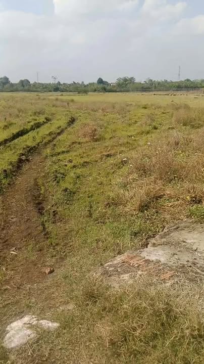 Đất 2800m² tại ấp Xuân Thọ, xã Xuân Lộc - Giá chỉ 650 triệu - Cơ hội đầu tư tuyệt vời!