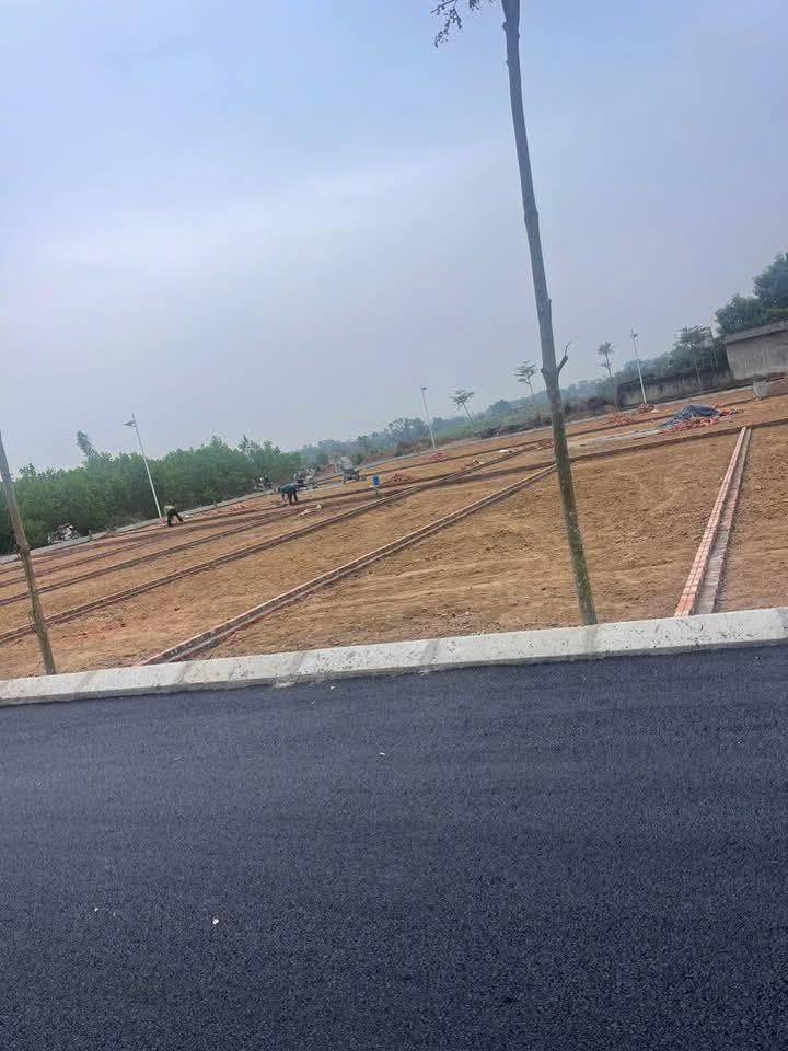 Đất thổ cư Ba Vì 100m² giá 500 triệu - Cần bán gấp, cơ hội đầu tư lý tưởng!