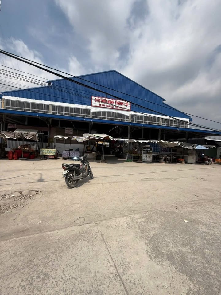 Đất nền chính chủ 732m² tại ấp Ninh Thạnh Tây, Bạc Liêu - Tiềm năng kinh doanh lớn!