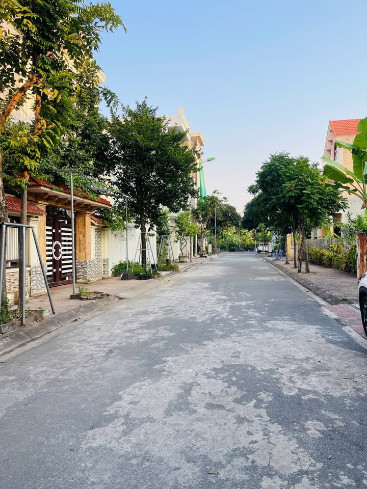 Lô Đất Biệt Thự Mini TĐC Ao Phe, Thái Bình 130m² chỉ 5 tỷ - Cơ hội vàng cho nhà đầu tư!