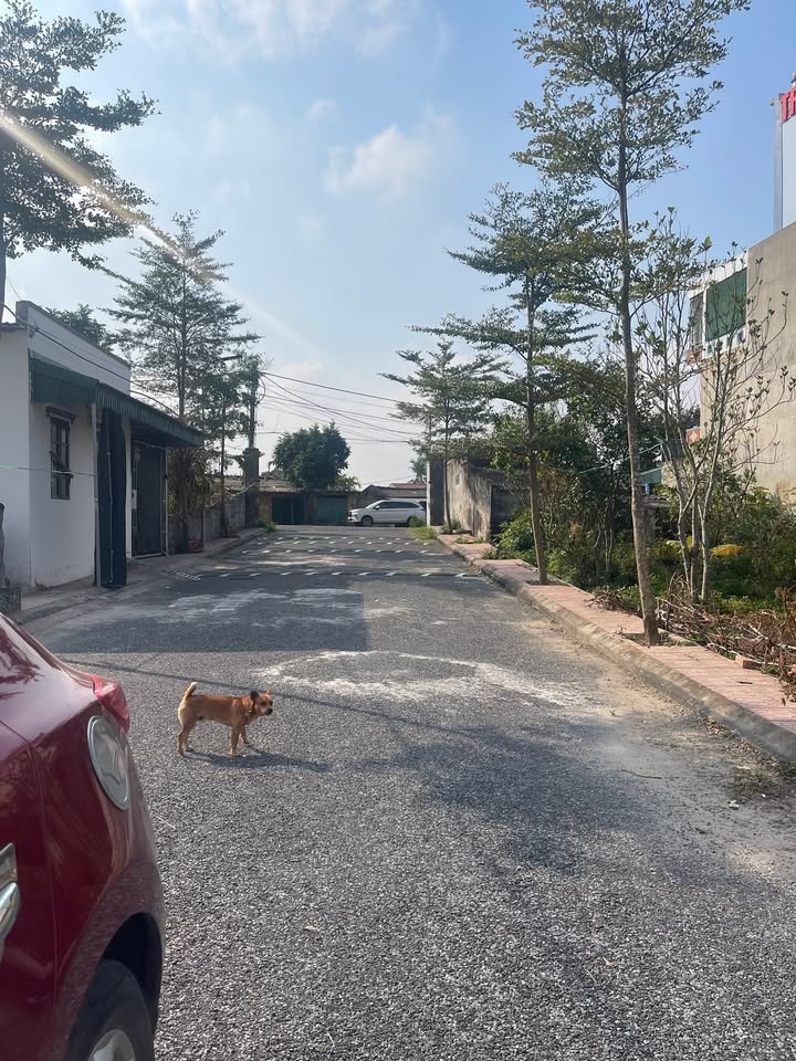 Nhà riêng Huyện Vũ Thư 80m² giá chỉ 7xx triệu - Bán gấp trong tháng này!