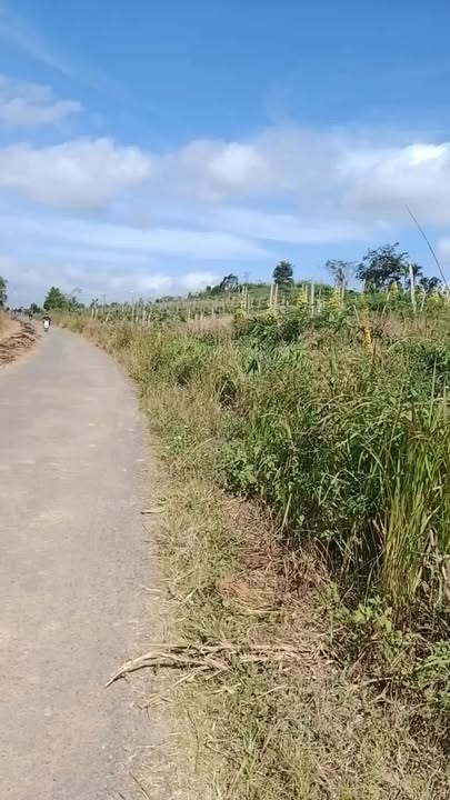 Đất thổ cư 6400m² tại xã Ea Dăh, huyện Krông Năng - Giá 1.7 tỷ, có thương lượng!