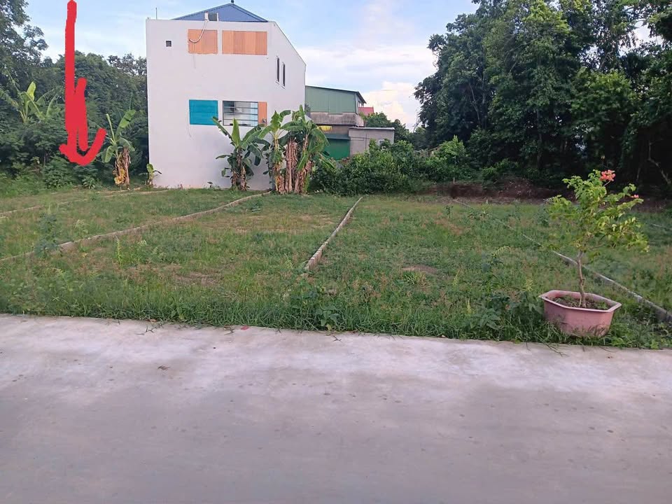 Đất nền Hưng Lộc 98,4m² giá 3 tỷ - Đầu tư sinh lời ngay!