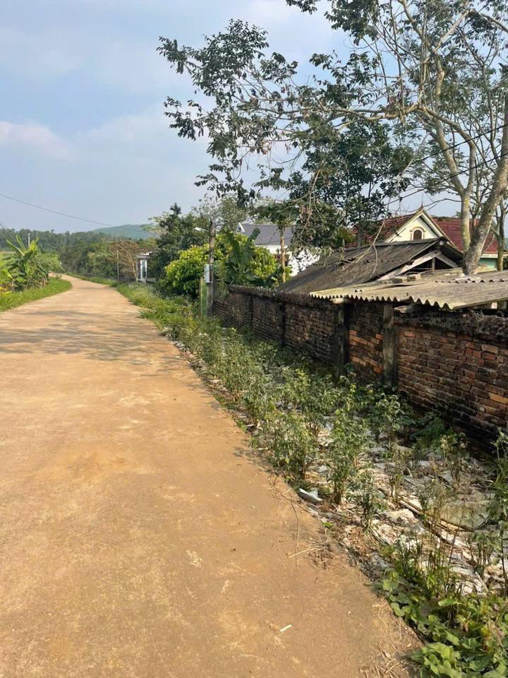 Đất thổ cư Nghĩa Hồng, Nghĩa Đàn 320m² giá chỉ 5xx triệu - Đường thông rộng, vị trí đắc địa!