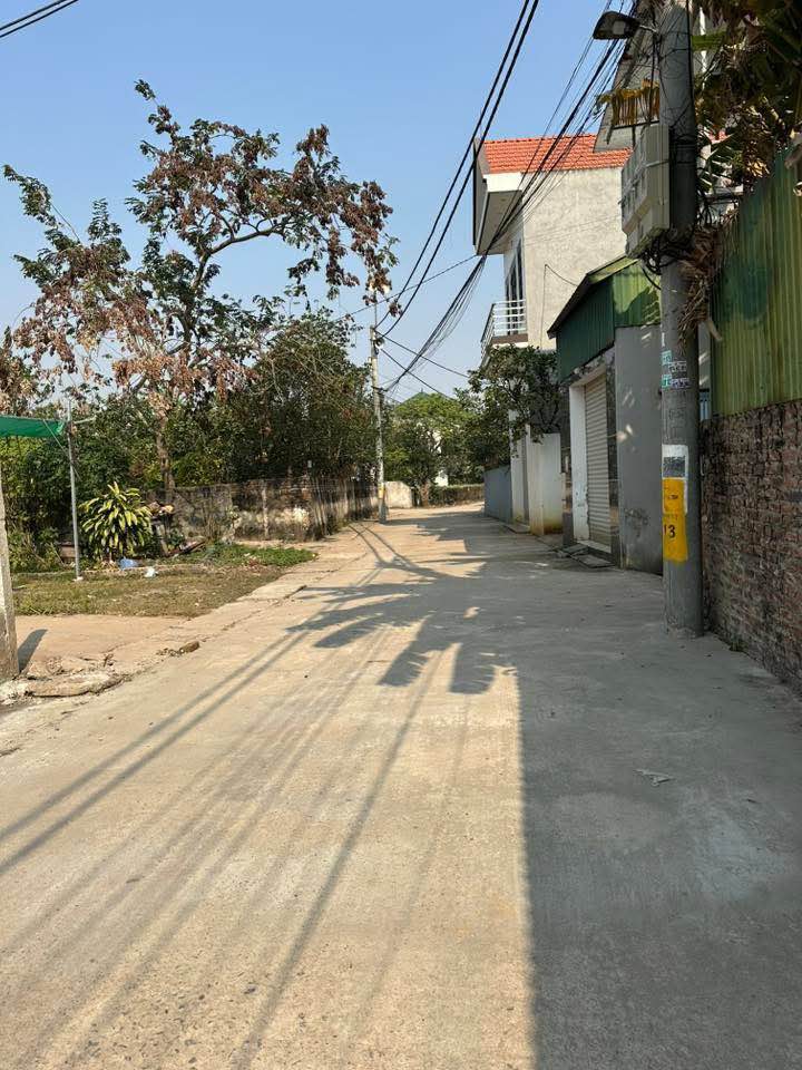 Đất thổ cư Vạn Phúc, Thanh Trì 50m² giá 5.5 tỷ - Lô góc thoáng sáng, ôtô vào tận nơi!