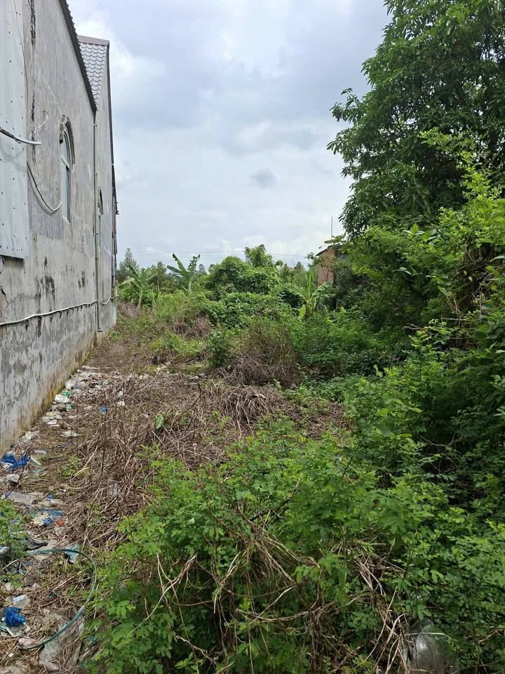 Đất nền tại Đường Tỉnh 947, Xã Vĩnh An, 208m² giá 550 triệu - Sổ hồng sang tên nhanh!