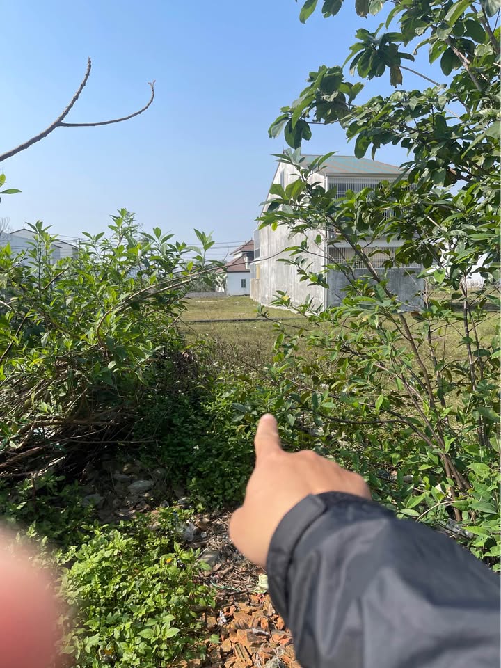 Đất Đấu Giá Yên Bình, Hưng Đông 150m² giá 4.5 tỷ - Xây dựng tự do, hạ tầng chuẩn