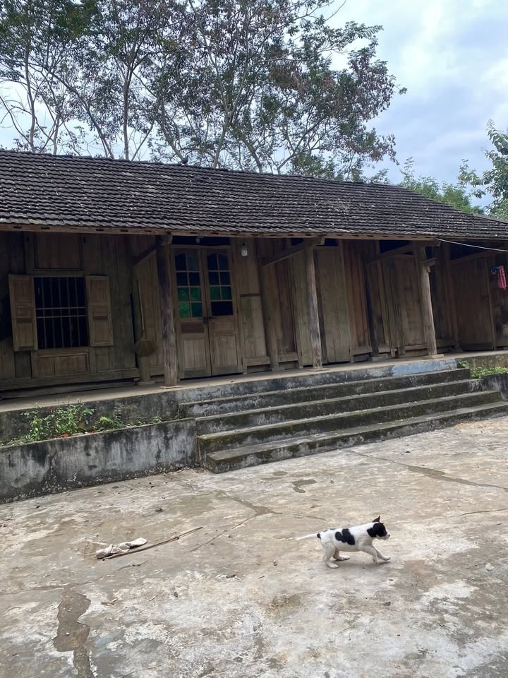 Trang trại tại Xuân Quang 250m² giá 900 triệu - Đầu tư tiềm năng!