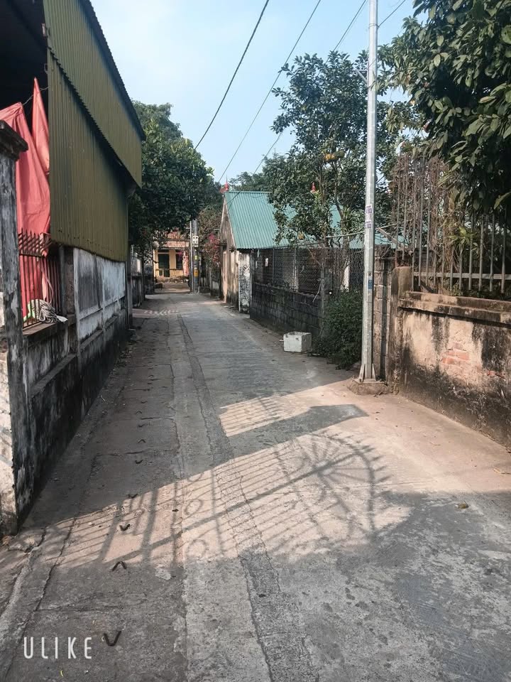 Đất nền Phong Triều, Nam Phong, Phú Xuyên 99.8m² - Sổ đỏ chính chủ, tiện ích đầy đủ!