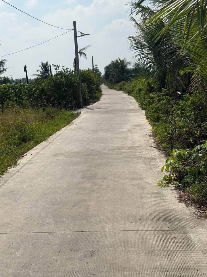 Đất thổ cư 300m² và đất vườn 645m² tại xã Thuận Thành, Cần Giuộc - Giá chỉ 4.5 tỷ!