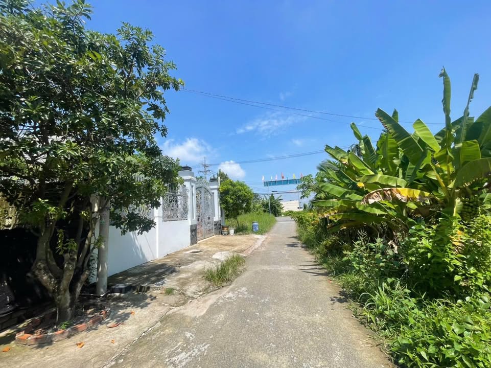 Đất thổ cư 170m² Kênh Cây Xanh, Củ Chi - Giá chỉ 2.65 tỷ!