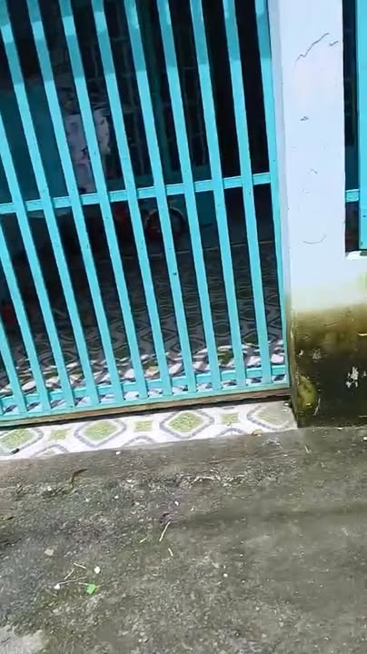 Nhà đẹp 79m² ấp Tiền, Tân Thông Hội, Củ Chi giá 750 triệu - Sẵn sàng vào ở ngay!