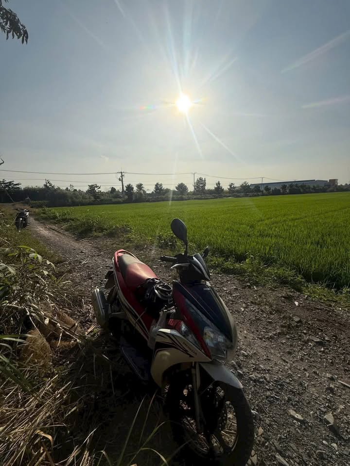 Đất nông nghiệp Xã Phú Quới, Vĩnh Long 4500m² giá 650 triệu - Cơ hội đầu tư sinh lời!